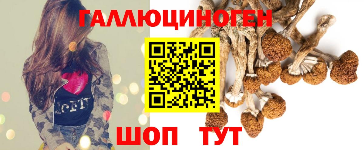 Галлюциногенные грибы мухоморы  где продают   Новотроицк  Вход с VPN 